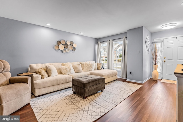 living room with wood-type flooring