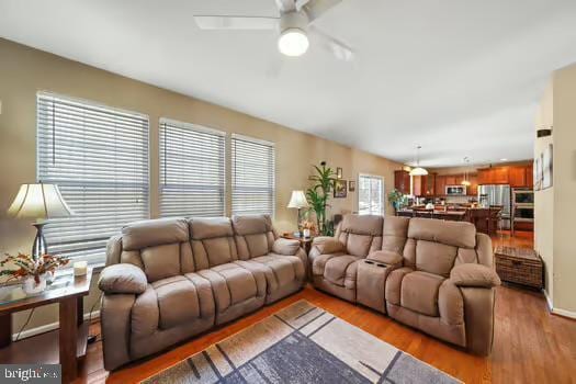 living room with hardwood / wood-style floors and ceiling fan