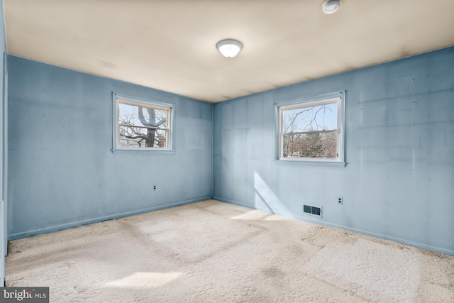 spare room with light carpet and a wealth of natural light