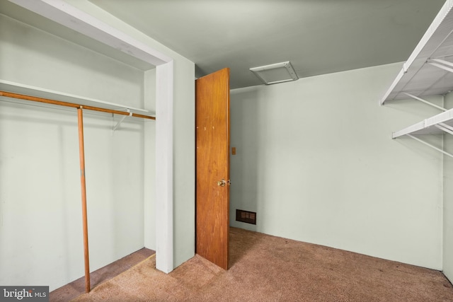 spacious closet with carpet floors