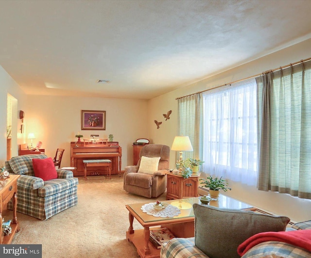 living room featuring carpet floors