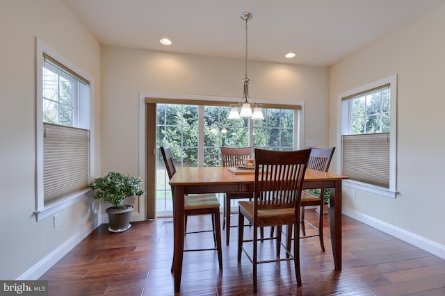 dining area with plenty of natural light and dark hardwood / wood-style flooring