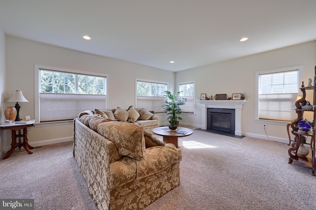 carpeted living room with plenty of natural light