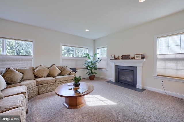 living room with carpet flooring