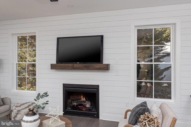 room details with a large fireplace and wood finished floors