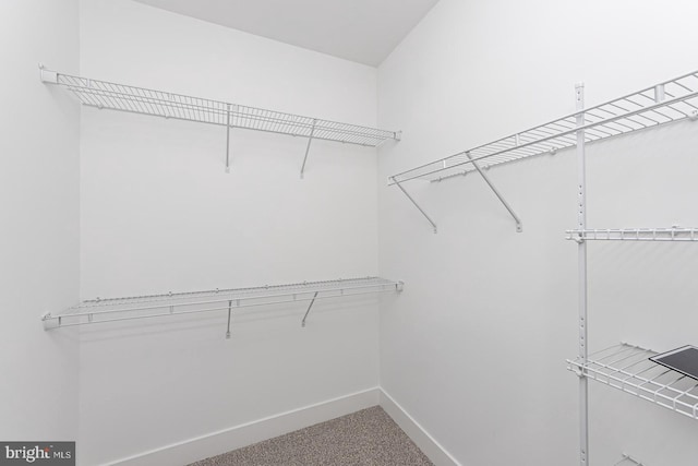 spacious closet with carpet floors