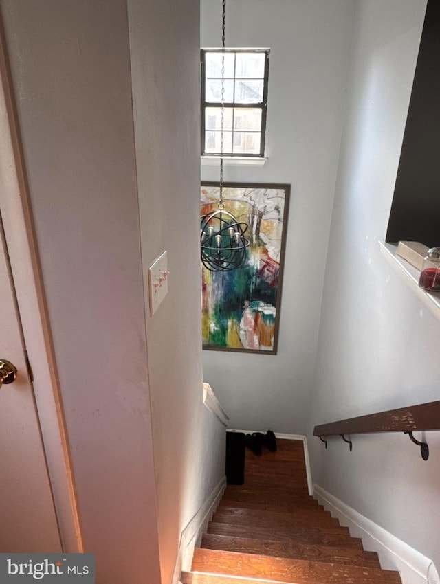 stairway with a notable chandelier and hardwood / wood-style floors