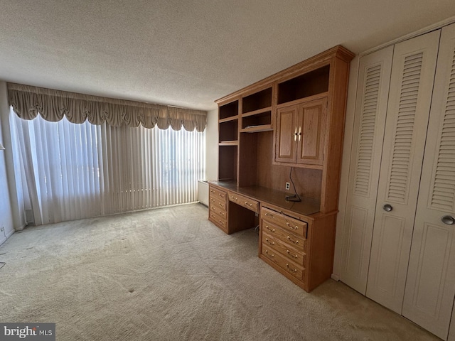 unfurnished office with light colored carpet and a textured ceiling