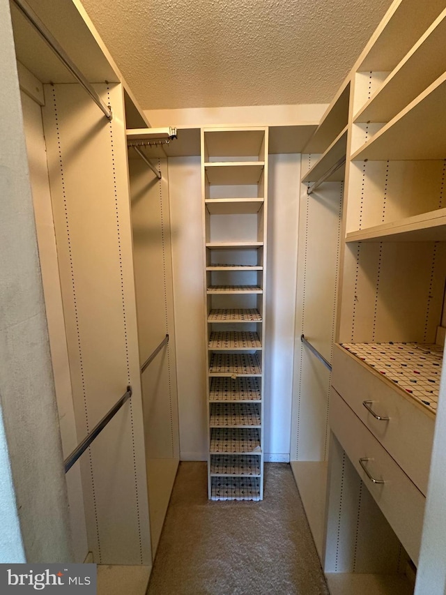 view of walk in closet