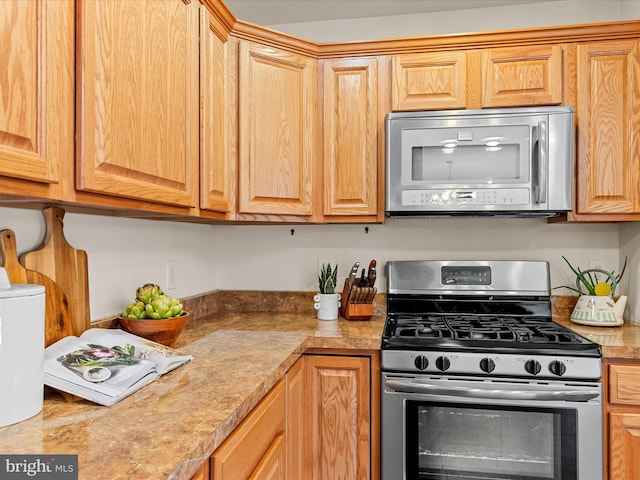 kitchen featuring stainless steel appliances