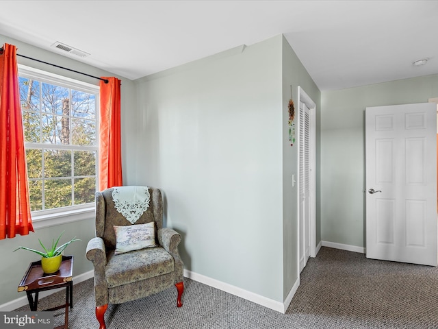 living area featuring carpet floors and a wealth of natural light