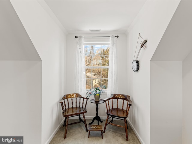 sitting room with carpet