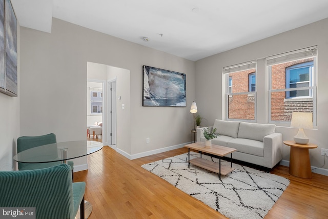 living room with light wood-type flooring