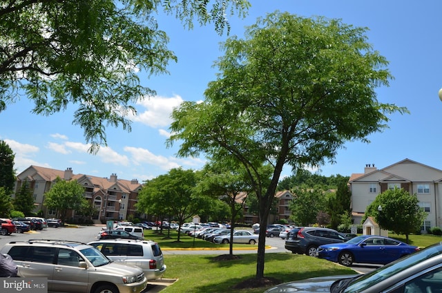 view of parking with a lawn