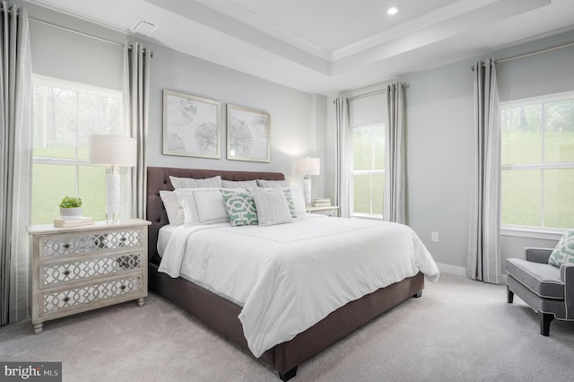 carpeted bedroom featuring a raised ceiling