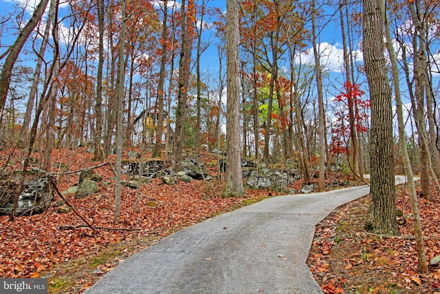 480 Natural Dam Rd, Gettysburg, PA 17325 - view of community with driveway