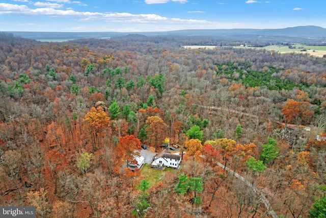 480 Natural Dam Rd, Gettysburg, PA 17325 - aerial overview of property's location with a forest and a mountain backdrop