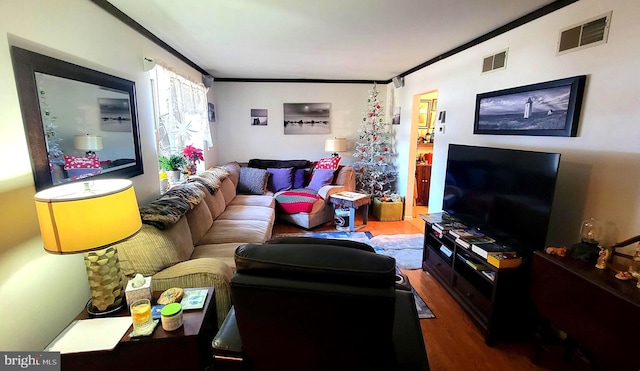 living room featuring dark wood-type flooring