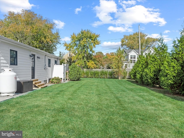 view of yard featuring central AC