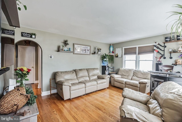 living room with light hardwood / wood-style flooring