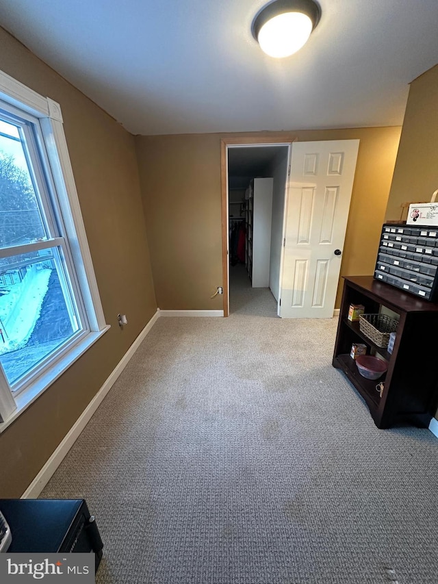 living room with carpet