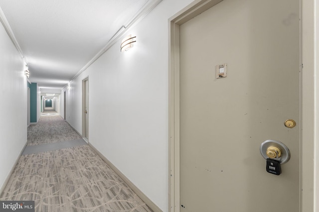 hall featuring light carpet and ornamental molding