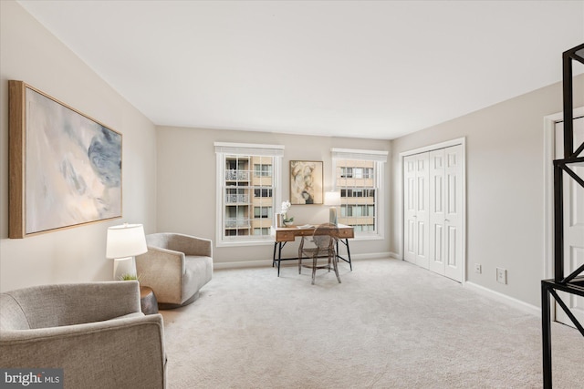 sitting room with carpet