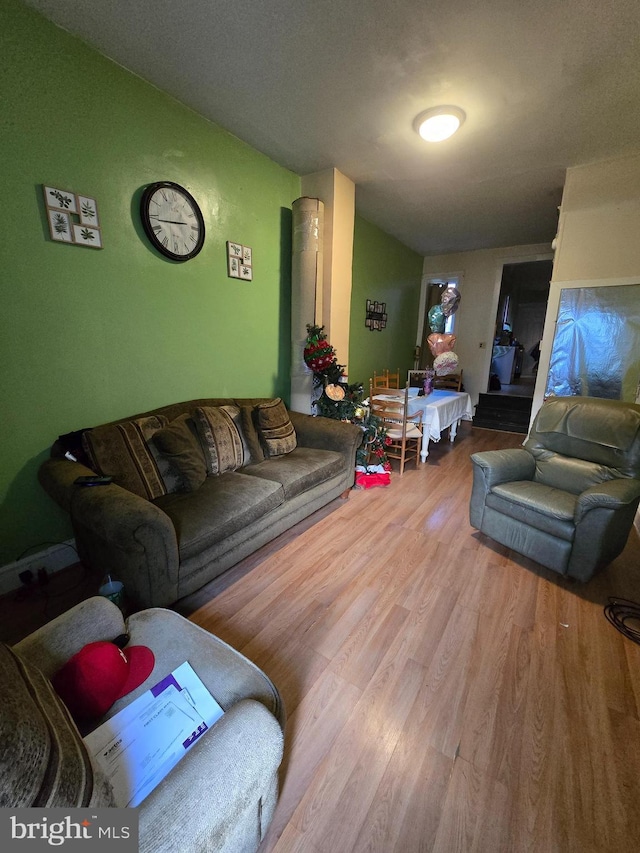 living room with hardwood / wood-style floors