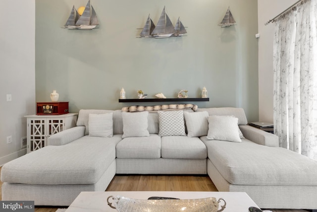 living room with wood-type flooring