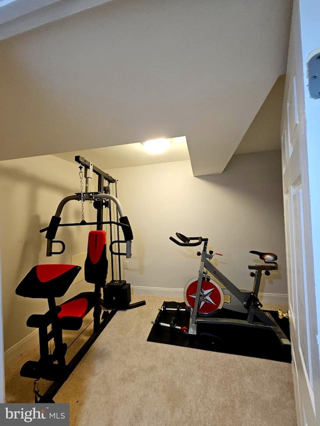 workout area featuring carpet flooring