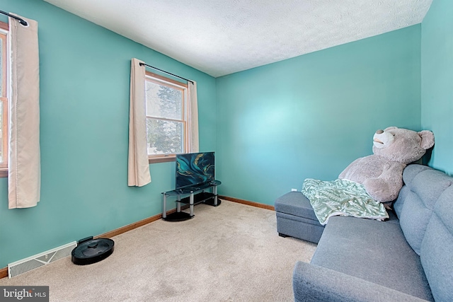 living area featuring carpet floors and a textured ceiling