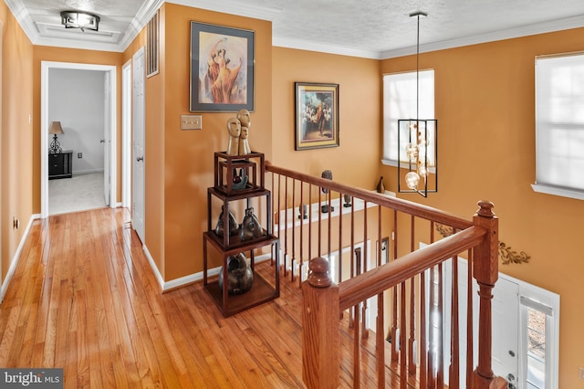 corridor featuring light hardwood / wood-style flooring, ornamental molding, and a textured ceiling