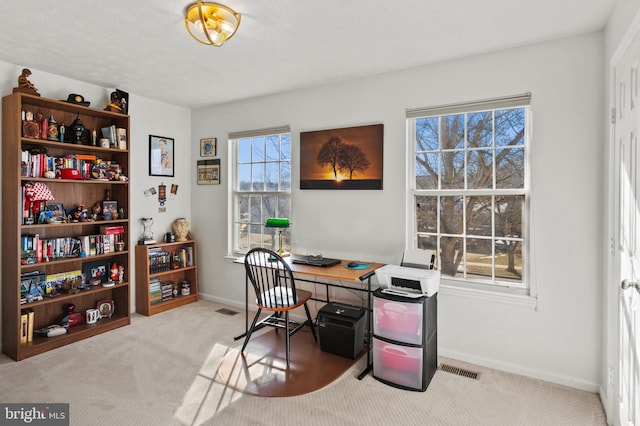 carpeted office with a textured ceiling