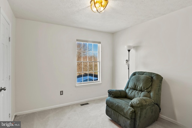 sitting room with carpet floors and a textured ceiling