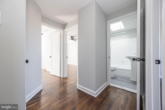 hallway with dark hardwood / wood-style floors