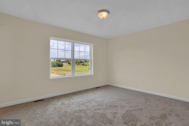 spare room featuring light carpet