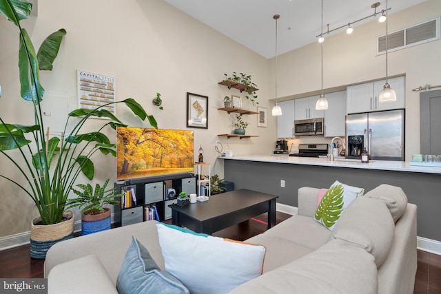 living room featuring dark hardwood / wood-style floors and sink