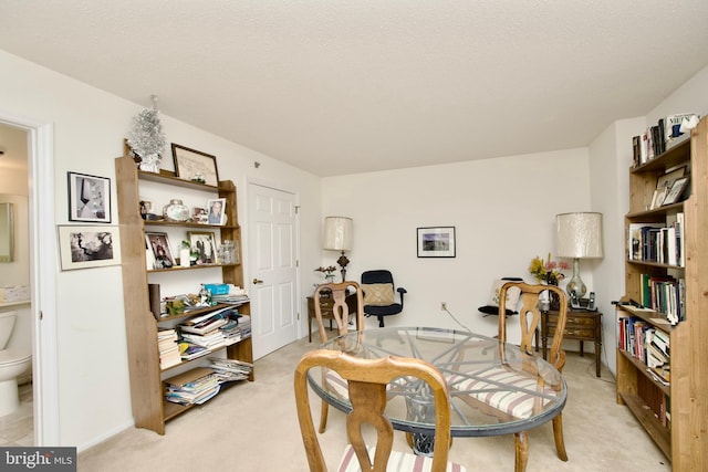 sitting room with light carpet