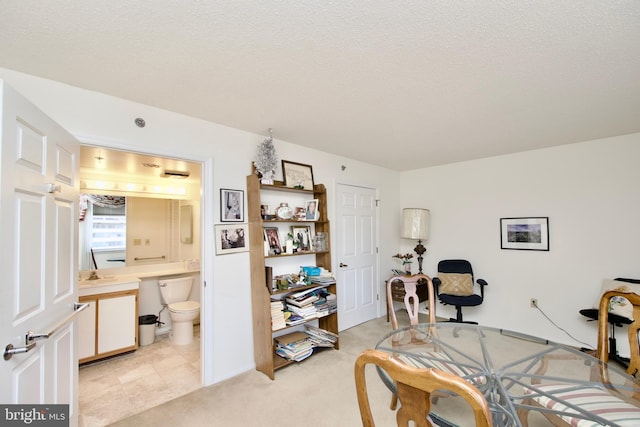 carpeted home office featuring a textured ceiling