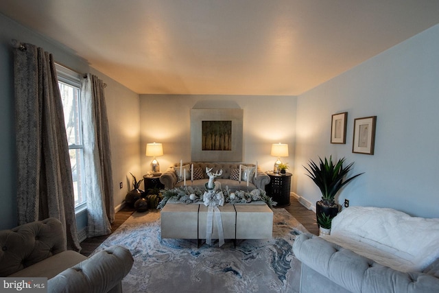 living room with hardwood / wood-style floors