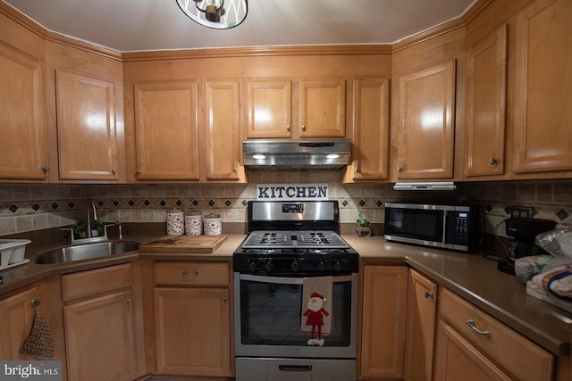 kitchen featuring tasteful backsplash, sink, and appliances with stainless steel finishes