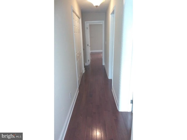 hall featuring dark wood-type flooring