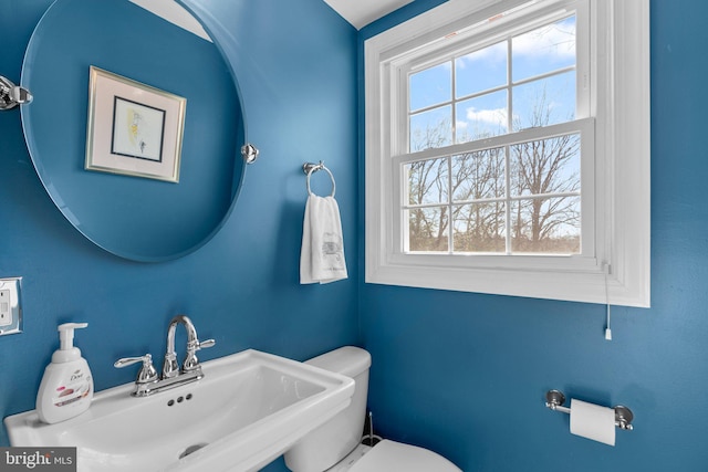 bathroom with sink and toilet