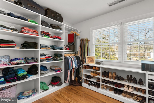 walk in closet featuring light hardwood / wood-style flooring