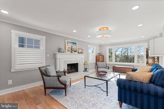 living room with a premium fireplace, crown molding, and light wood-type flooring