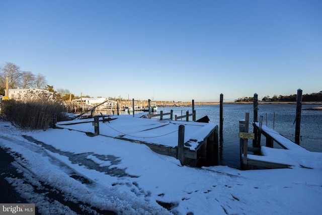 dock area with a water view