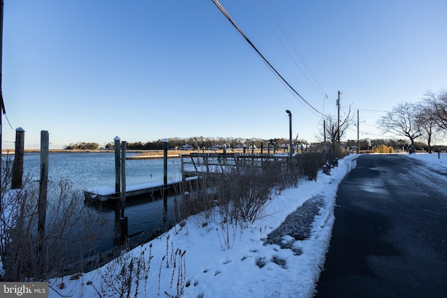 dock area with a water view