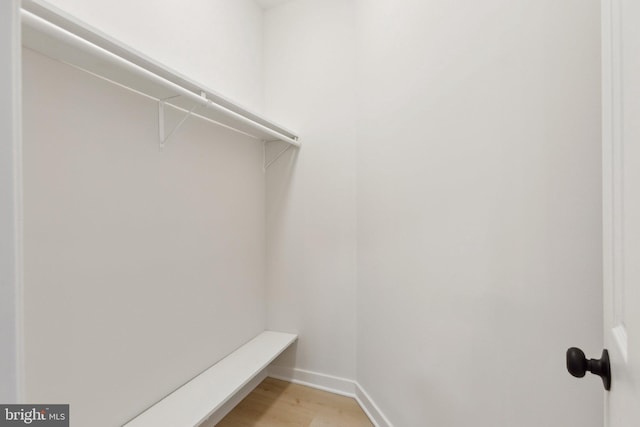 spacious closet featuring light hardwood / wood-style flooring