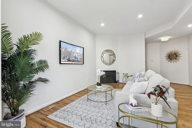 living room featuring wood-type flooring