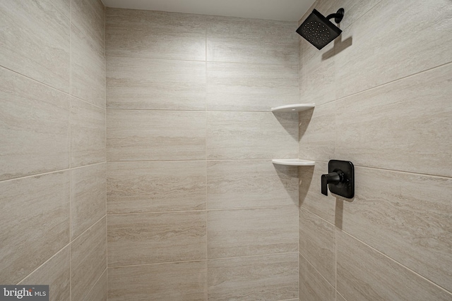 room details featuring tiled shower